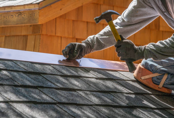 Best Asphalt Shingle Roofing  in Portola, CA