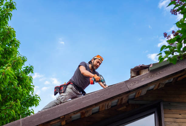 Best Roof Restoration  in Portola, CA