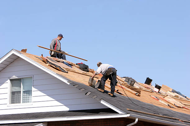 Best Roof Replacement  in Portola, CA
